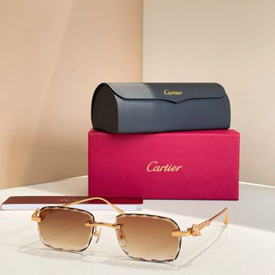 Cartier Sunglasses — 4