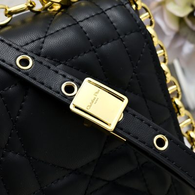 Dior Bag — 6