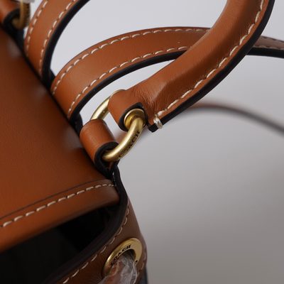 Coach Bag — 6
