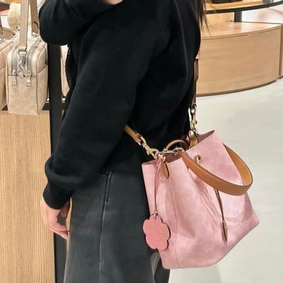 Coach Bag — 6