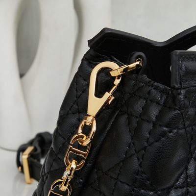 Dior Bag — 6