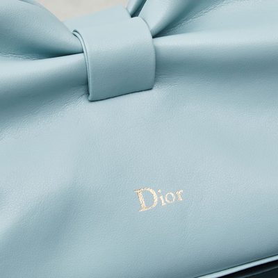 Dior Bag — 9