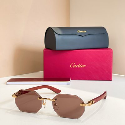 Cartier Sunglasses — 4