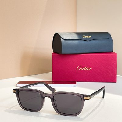 Cartier Sunglasses — 9