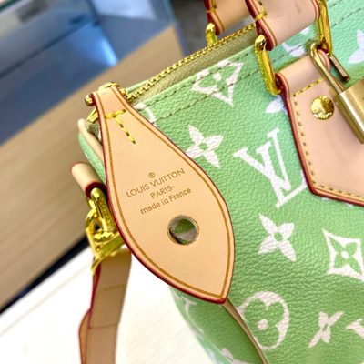 Louis Vuitton Bag — 5