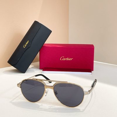 Cartier Sunglasses — 4