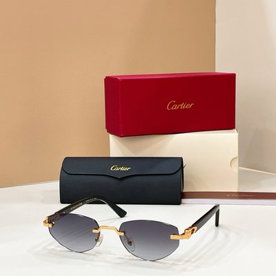 Cartier Sunglasses — 8