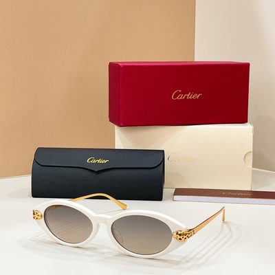 Cartier Sunglasses — 7