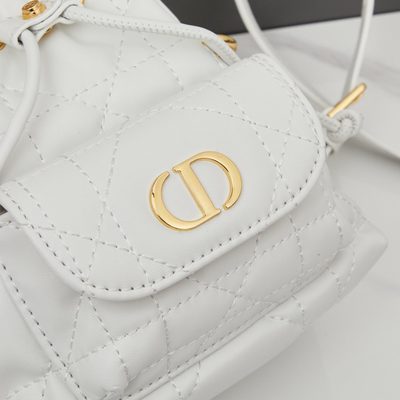 Dior Bag — 6