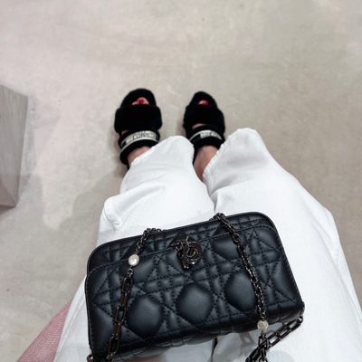 Dior Bag — 8
