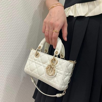 Dior Bag — 11