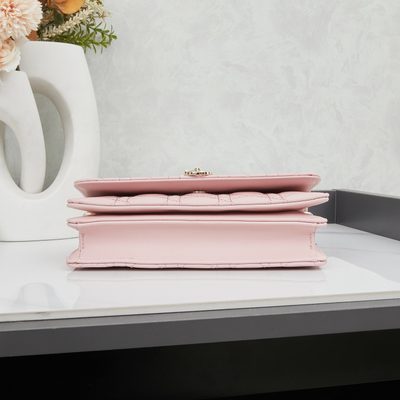 Dior Bag — 4