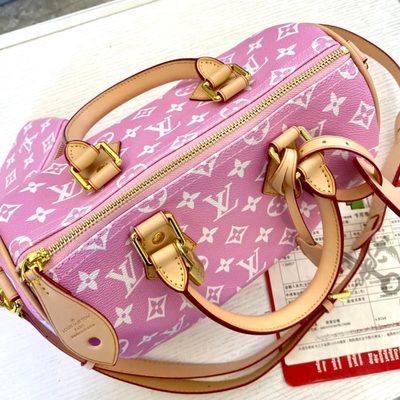 Louis Vuitton Bag — 8