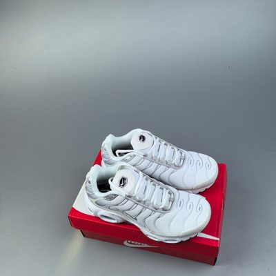 Nike Air Max Plus trainers — 9