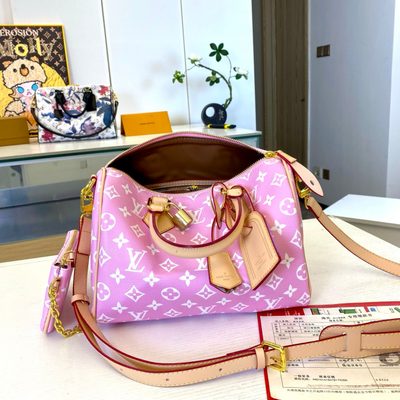 Louis Vuitton Bag — 4