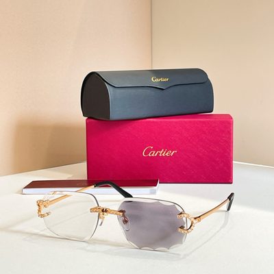 Cartier Sunglasses — 3