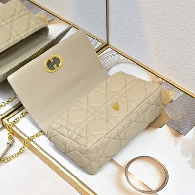 Dior Bag — 6