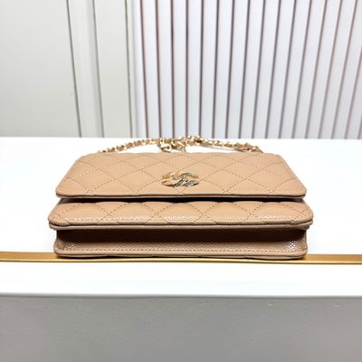 Chanel Bag — 5