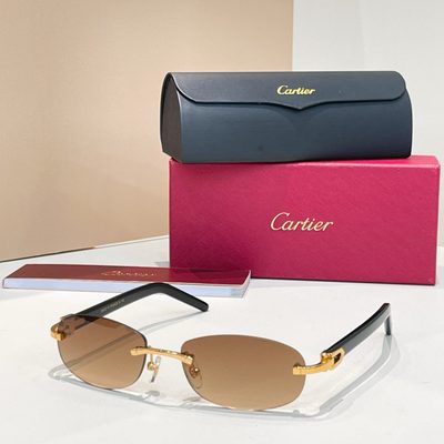 Cartier Sunglasses — 4