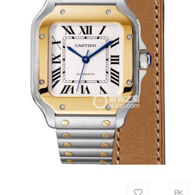 Cartier Watch