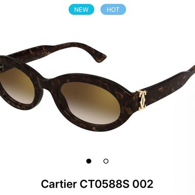 Cartier Sunglasses — 9