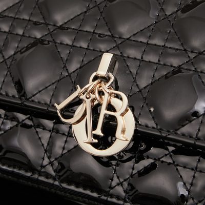 Dior Bag — 5