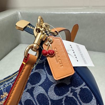 Coach Bag — 10