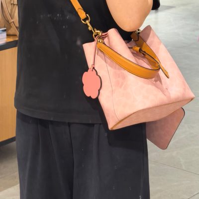 Coach Bag — 4