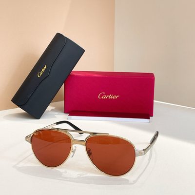 Cartier Sunglasses — 6