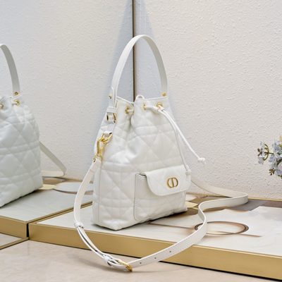 Dior Bag — 3