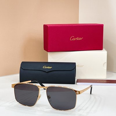 Cartier Sunglasses — 3