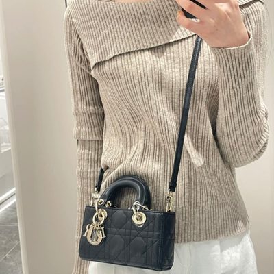 Dior Bag — 8