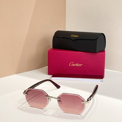 Cartier Sunglasses — 5