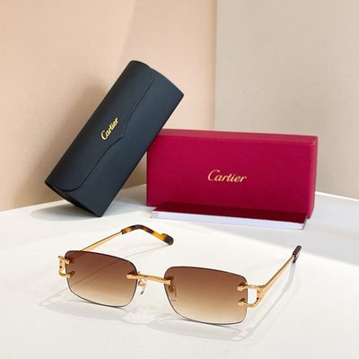 Cartier Sunglasses — 6