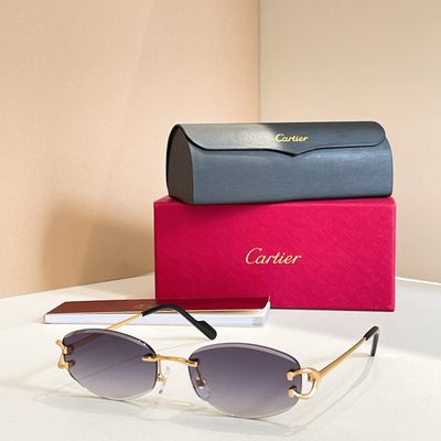 Cartier Sunglasses — 3