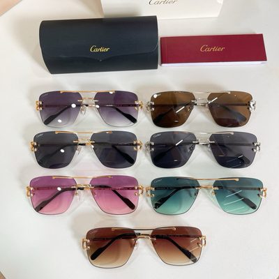 Cartier Sunglasses — 8