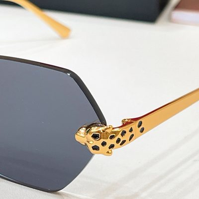 Cartier Sunglasses — 9