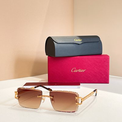 Cartier Sunglasses — 5