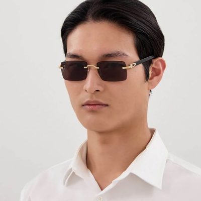 Cartier Sunglasses — 4