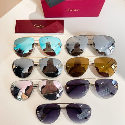 Cartier Sunglasses — 8