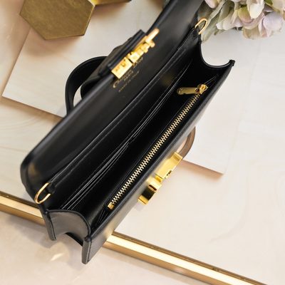 Dior Bag — 9