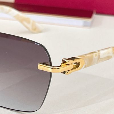 Cartier Sunglasses — 7