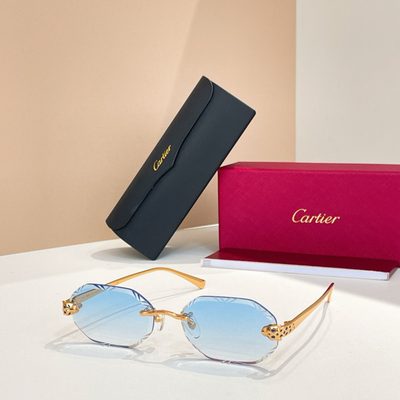 Cartier Sunglasses — 4
