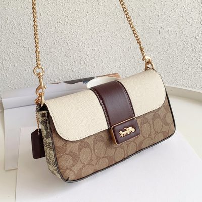 Coach Bag — 5