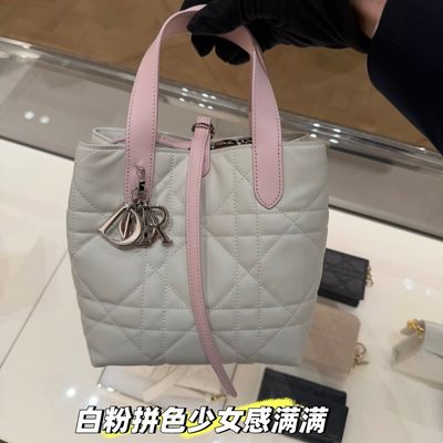 Dior Bag — 4