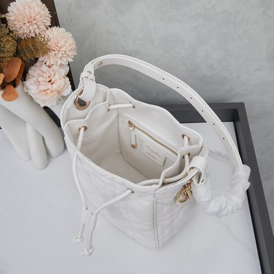Dior Bag — 9