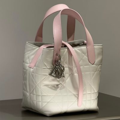 Dior Bag — 10