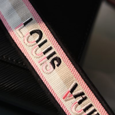 Louis Vuitton Bag — 5