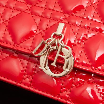 Dior Bag — 5