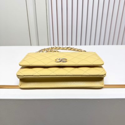Chanel Bag — 5